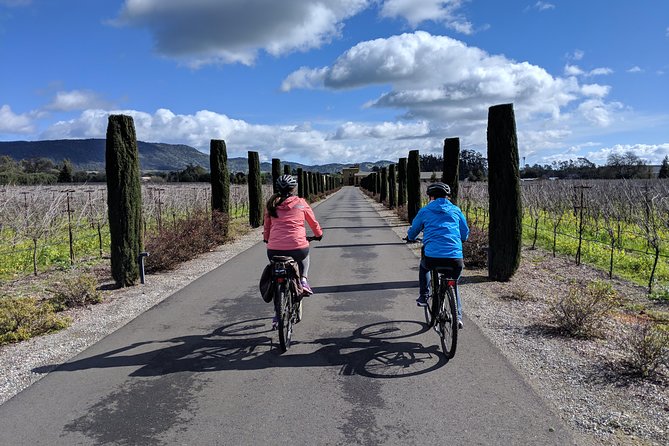 Sonoma Valley Pedal Assist Bike Tour with Lunch - Is $179 a fair price?