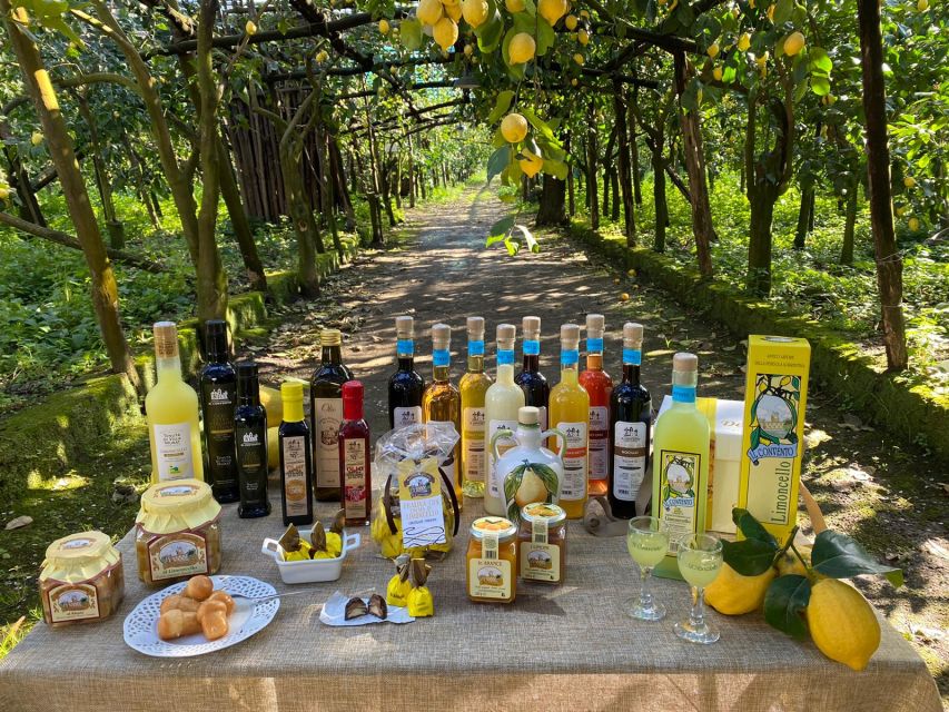 Sorrento: Coast E-Bike Tour with Limoncello Tasting - Lemon groves, olive trees, and local farming