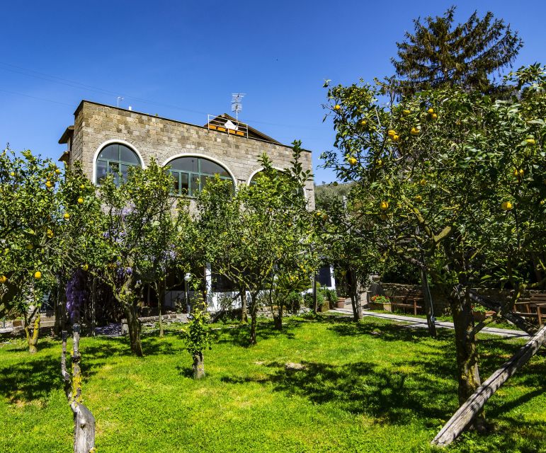 Sorrento: Coast E-Bike Tour with Limoncello Tasting - Limoncello with a sense of place