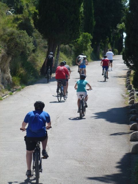 Split 3-Hour Guided Bike Tour - Key points at a glance