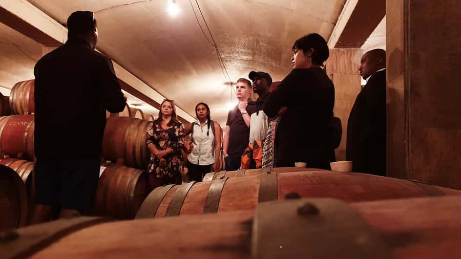Stellenbosch: Historical Bike Tour & Wine Tasting - The first estate: wine with a view