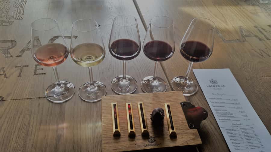 Stellenbosch: Historical Bike Tour & Wine Tasting - The second estate and its Cape Dutch character