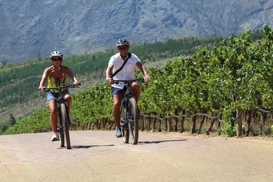 Stellenbosch: Wine Farm E-Bike Guided Tour - First wine farm stop: 30 minutes of tasting and browsing