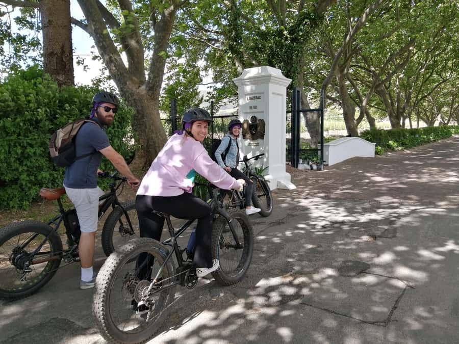 Stellenbosch: Wine Farm E-Bike Guided Tour - Riding into the Jonkershoek Valley