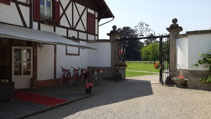 Strasbourg: 1-Day Bike Rental - Key points to know before you ride