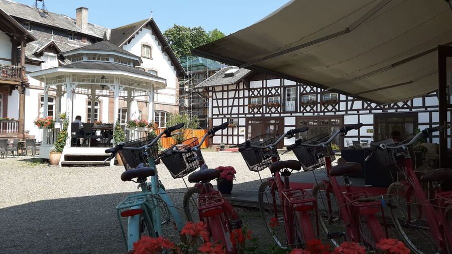 Strasbourg: 1-Day Bike Rental - Starting at 5 petite rue du Vieux Marché aux Vins