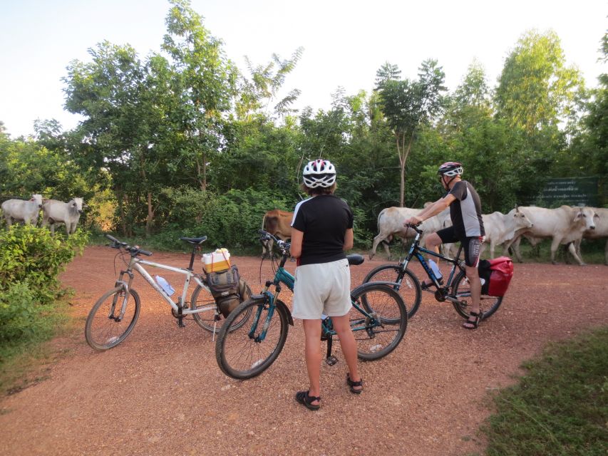 Sukhothai: Historical Park & Countryside Cycling Tour - What makes this Sukhothai bike tour worth considering