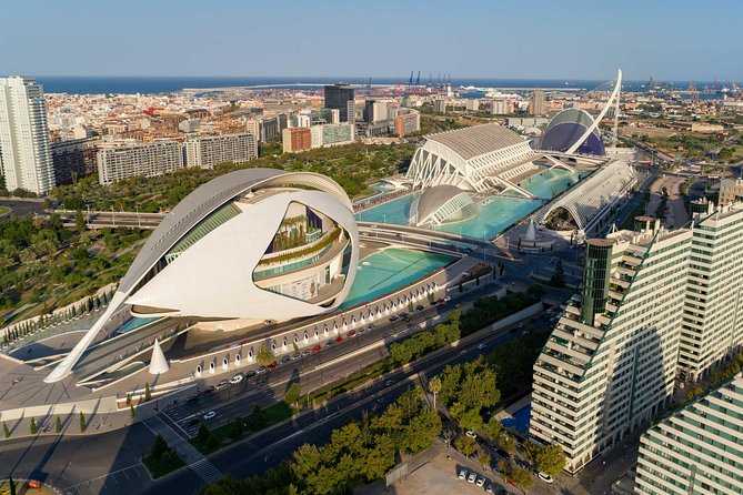 The Beauty of Valencia by Bike: Private Tour - Flowers Bridge and the old river turned park