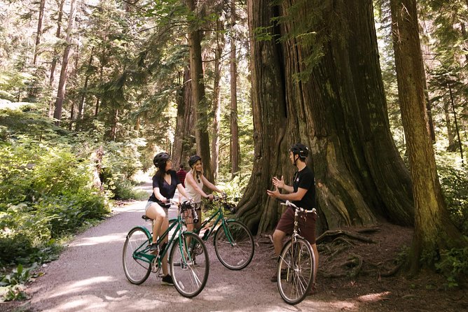 The Stanley Park Bicycle Tour by Cycle City Tours - What the guide adds to the ride