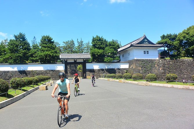 Tokyo Guided Small-Group Biking Tour - Meiji Jingu and the paths through Yoyogi Park