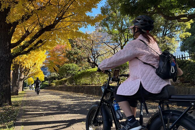 Tokyo Top Highlights 3h Guided E-bike Tour - Price, timing, and who gets good value