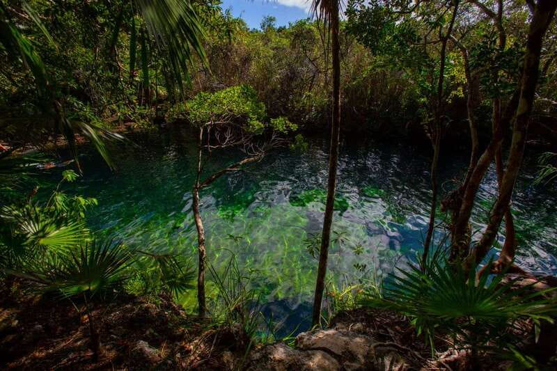 Tulum: Cenote Trail Bike Tour - What to bring for a better morning