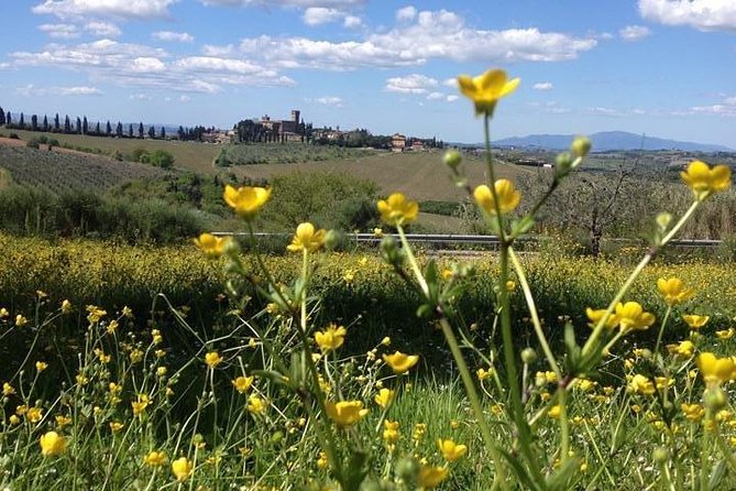 Tuscany Bike Tours Through the Chianti Hills with Wine Tasting - Small practical details that make the morning easier