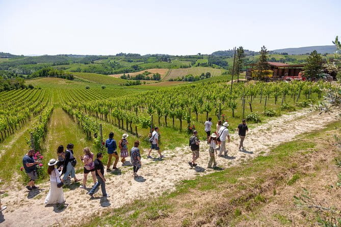 Tuscany E-Bike Tour: from Florence to Chianti with lunch and tastings - Lunch at Fattoria di Bagnolo