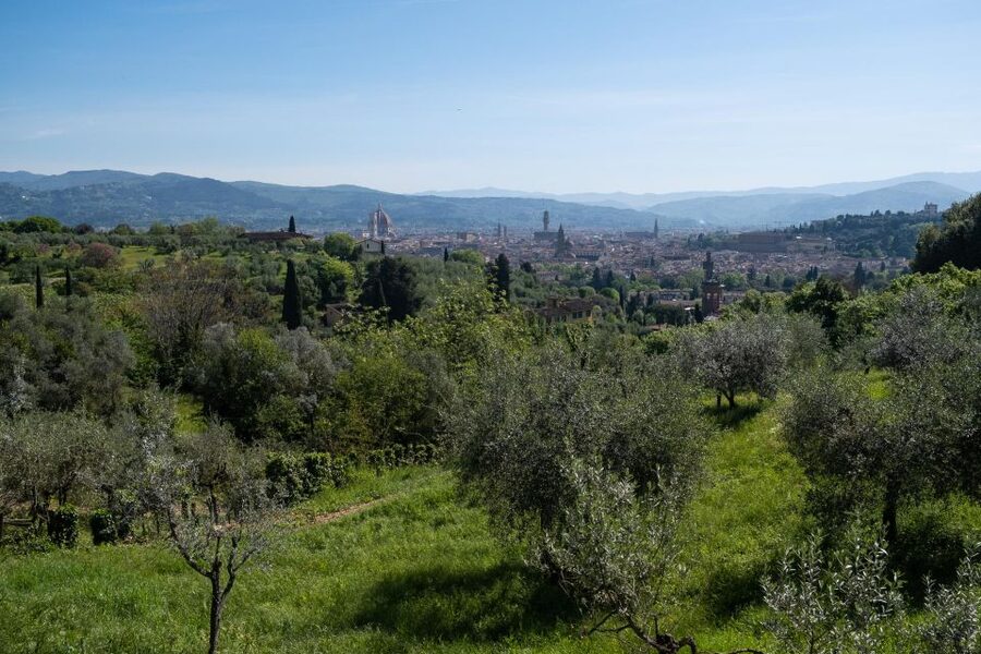 Tuscany Hills Bike Tour with Lunch at farm and Wine Tasting - What the 35-kilometer route demands