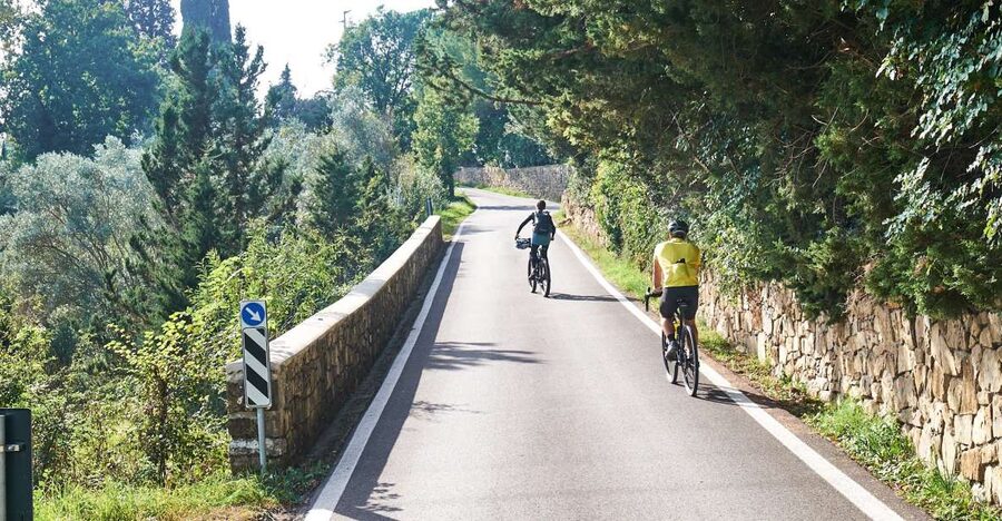 Tuscany Hills Bike Tour with Lunch at farm and Wine Tasting - Through vineyards and olive groves