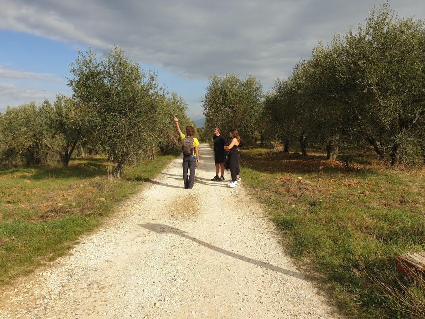Tuscany Hills Bike Tour with Lunch at farm and Wine Tasting - Lunch at a family-run Chianti farm