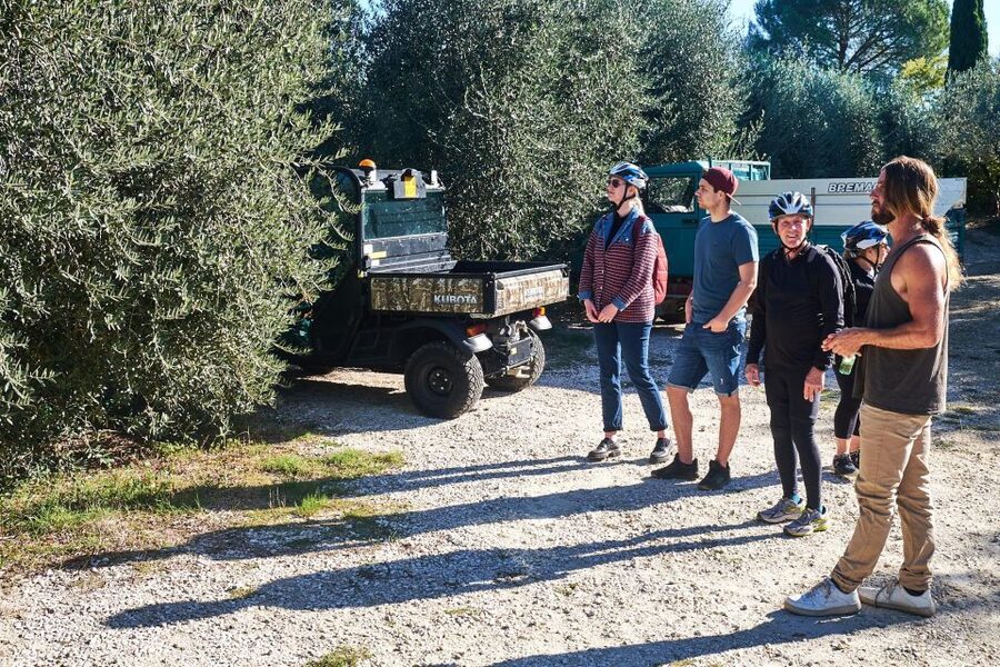 Tuscany Hills Bike Tour with Lunch at farm and Wine Tasting - Guide style and group atmosphere