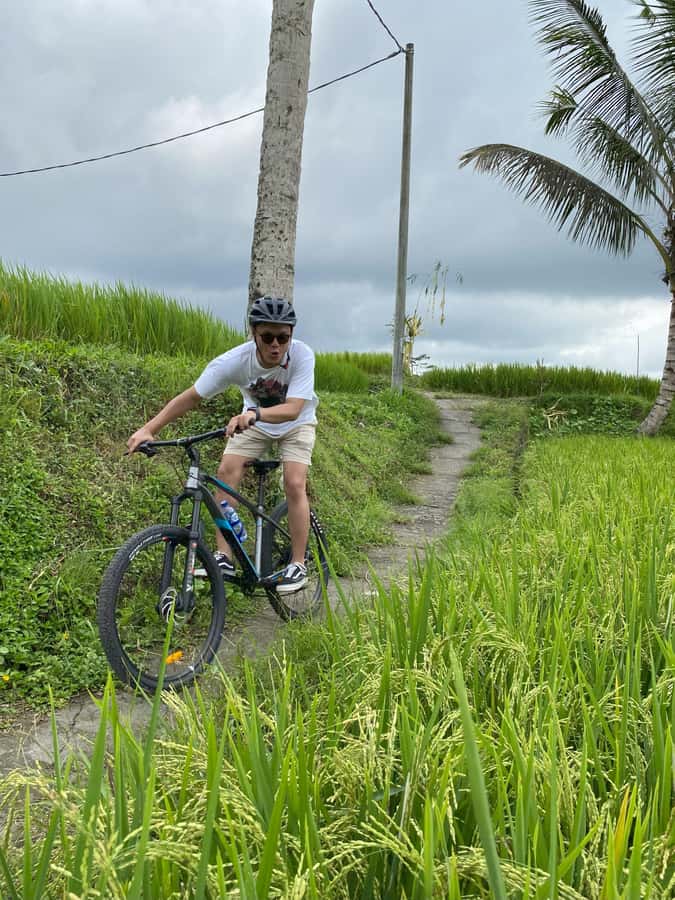 Ubud: Downhill Bike Tour with Rice Fields, Volcano and Meal - Why this downhill route works so well