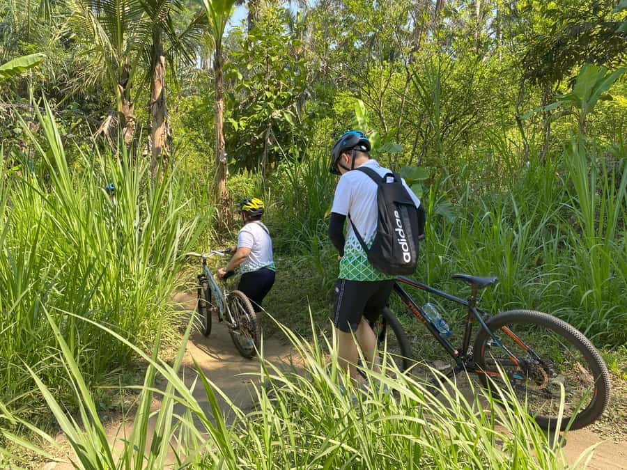 Ubud: Downhill Bike Tour with Rice Fields, Volcano and Meal - What the $33 price really covers