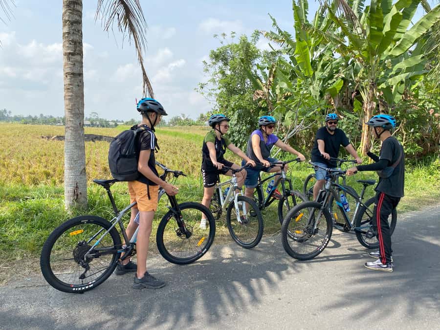 Ubud: Downhill Bike Tour with Rice Fields, Volcano and Meal - The drive to Kintamani and Mount Batur views