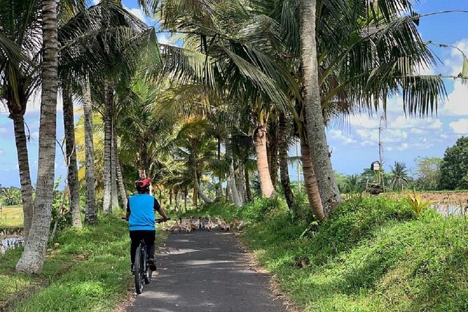Ubud: Downhill Cycling with Volcano, Rice Terraces, and Meal - A Balinese compound, temple, and school