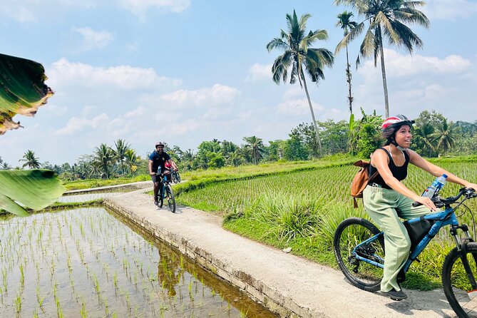 Ubud eBikes Tour to Tegallalang Rice Terrace - Why this ride shows you more than Tegallalang