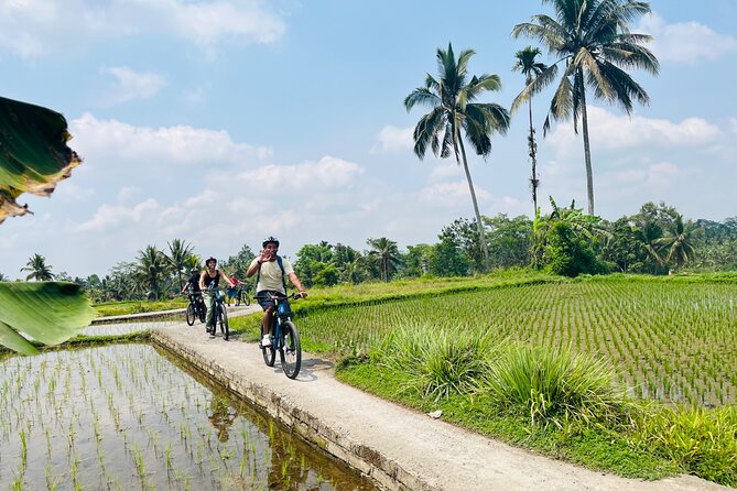 Ubud eBikes Tour to Tegallalang Rice Terrace - Inside a traditional Balinese family compound