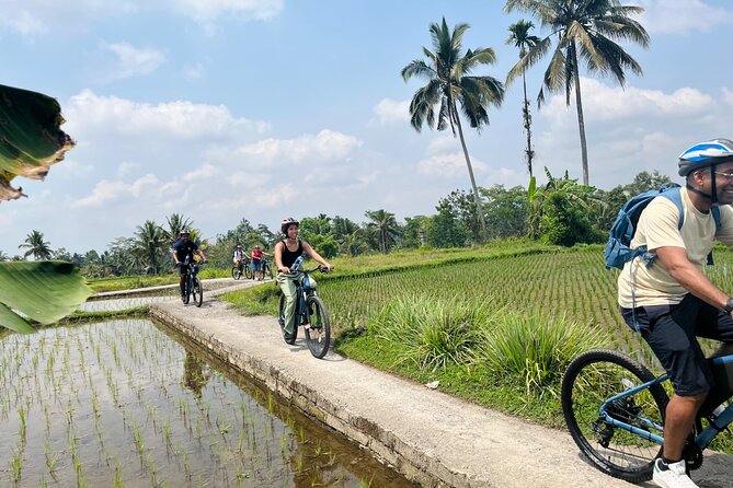 Ubud eBikes Tour to Tegallalang Rice Terrace - Visiting a village temple