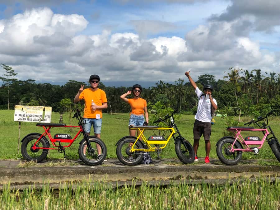 Ubud: Rice Terraces & Villages Half-Day Fat Tire E-Bike Tour - Timing, weather, and practical planning