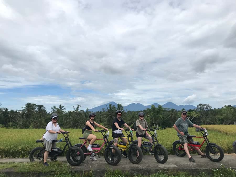 Ubud: Rice Terraces & Villages Half-Day Fat Tire E-Bike Tour - Why this ride works so well around Ubud