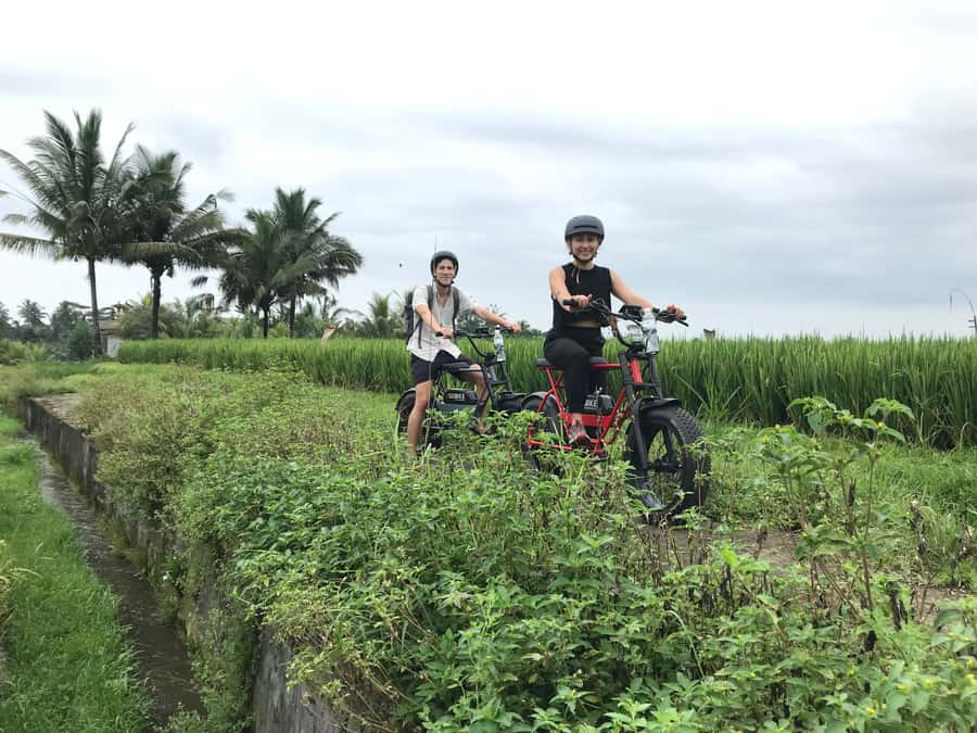 Ubud: Rice Terraces & Villages Half-Day Fat Tire E-Bike Tour - Lunch in Ubud finishes the outing well