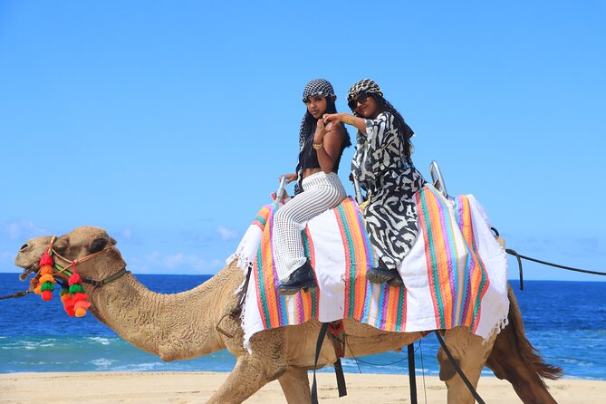 UTV Adventure with Free Camel Ride and Sky Bikes - Sky bikes and the ecological walk