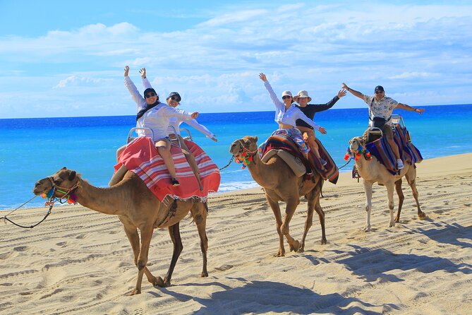 UTV Adventure with Free Camel Ride and Sky Bikes - Tequila tasting, water, and the busy add-on zone