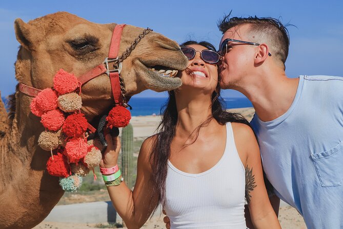 UTV Adventure with Free Camel Ride and Sky Bikes - A camel ride beside the Cabo coast