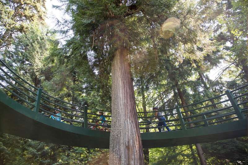 Vancouver: Stanley Park Bicycle Tour - Key points to know before you ride