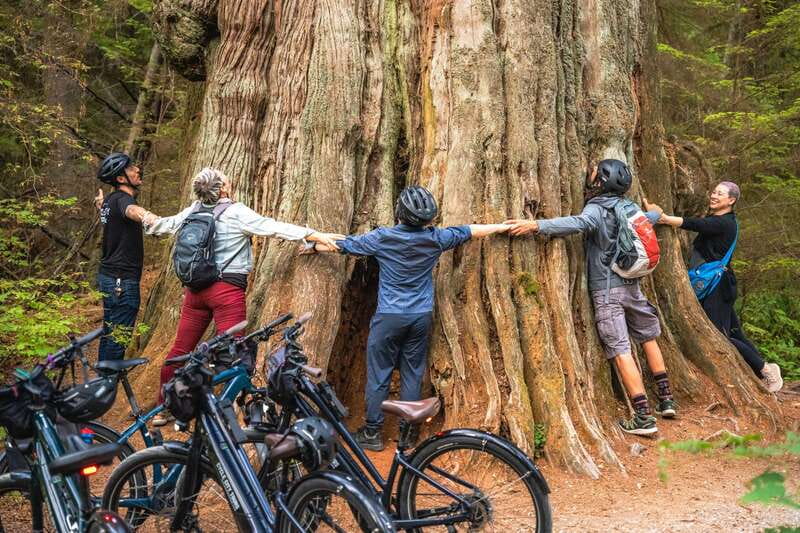 Vancouver: Stanley Park Bicycle Tour - Entering Stanley Park’s old-growth forest