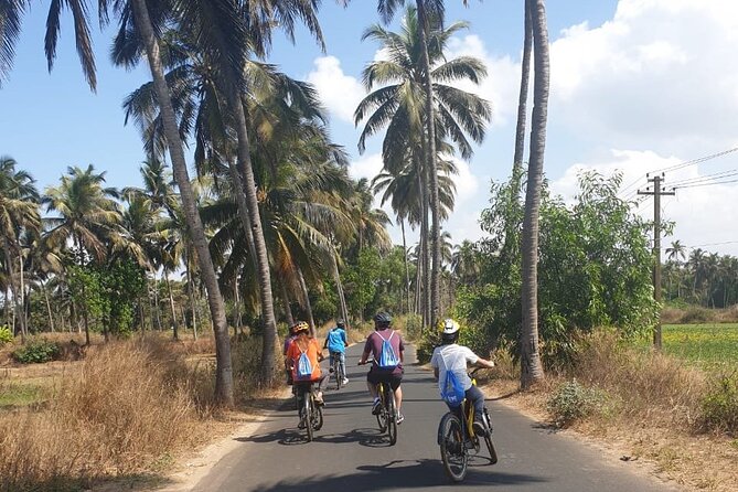 Varca Coastal E-Bike Tour: Scenic Beachside Adventure - Why this short ride shows you a more local Goa