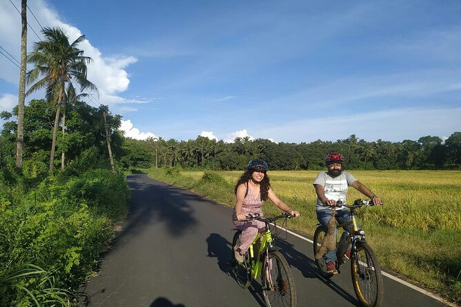 Varca Coastal E-Bike Tour: Scenic Beachside Adventure - Paddy fields and areca nut plantations