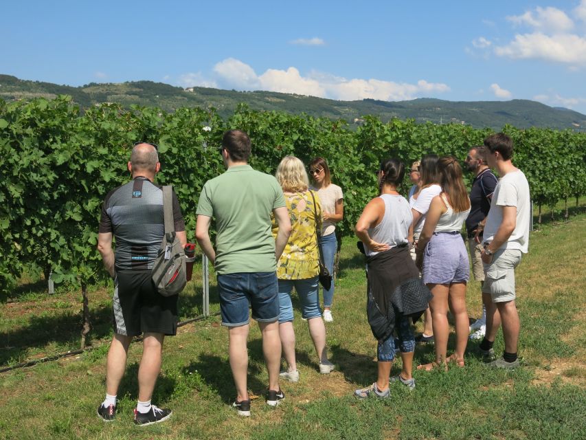Verona: Valpolicella Wine Self-Guided E-Bike Tour & Tastings - What the $105 price gets you