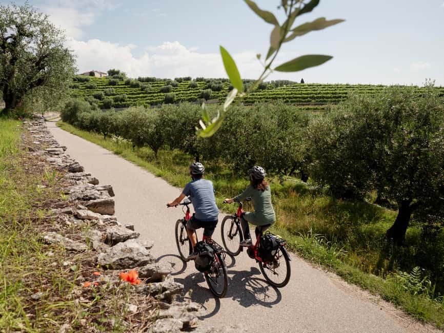 Verona: Valpolicella Wine Self-Guided E-Bike Tour & Tastings - Who will enjoy this ride most