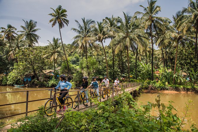Village Vibes: Cansaulim Coastal E-Bike & Japanese Tea Tour - Velsao Lake and the Dando Bridge