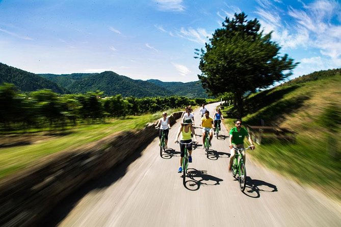 Wachau Valley Wine Tasting Bike Tour from Vienna - Weissenkirchen and the family-run producer