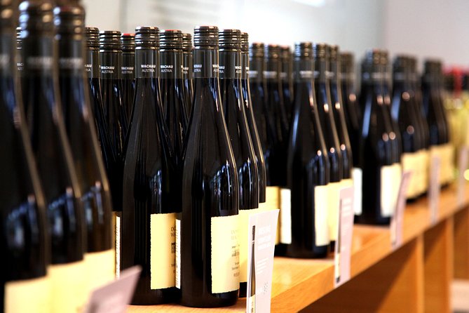 Wachau Valley Wine Tasting Bike Tour from Vienna - Lunch, fortress views, and a river swim