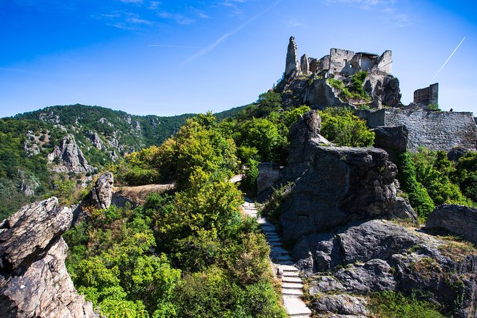 Wachau Valley Wine Tasting Bike Tour from Vienna - Who will enjoy this Wachau day most
