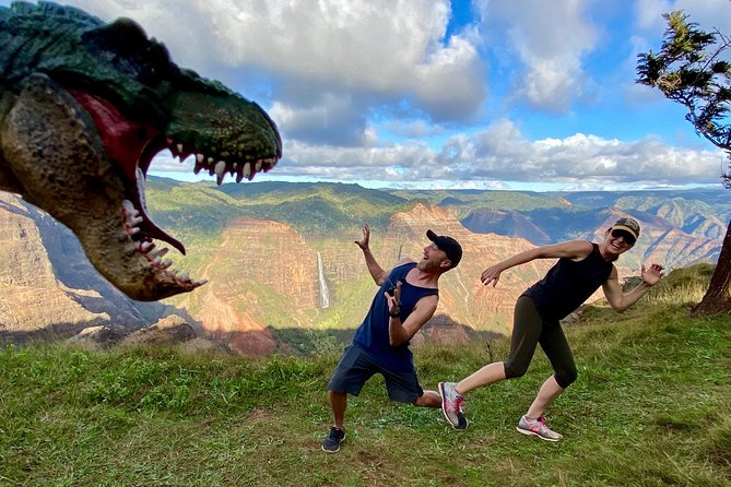 Waimea Canyon Downhill Bike Ride - The 11.7-mile coast downhill
