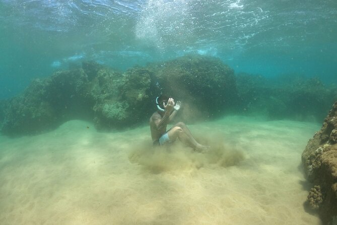 Water Bike Tour in South Maui - Key things to know before you book
