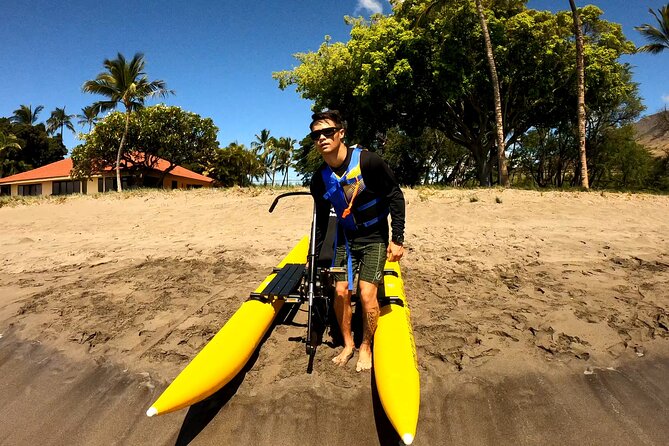 Water Bike Tour in South Maui - Wildlife sightings are a bonus, not the plan