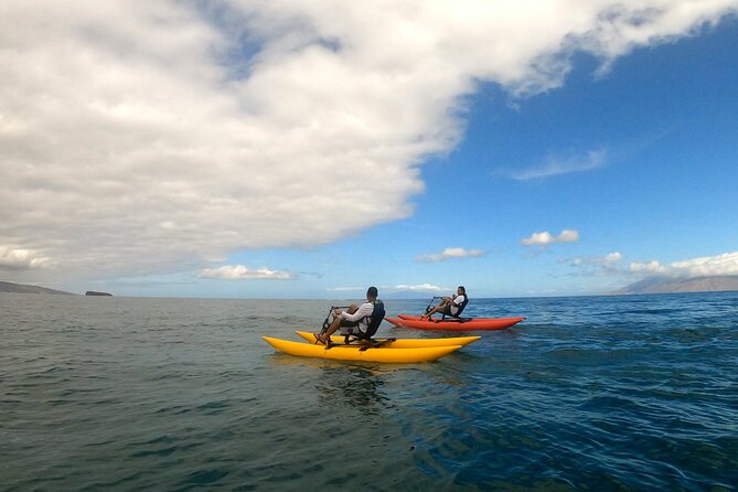 Water Bike Tour in South Maui - How hard is the water biking?