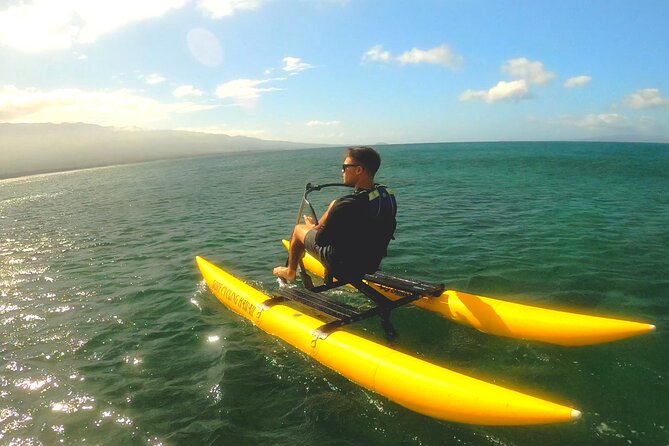 Water Bike Tour in South Maui - Is $124 a fair price?